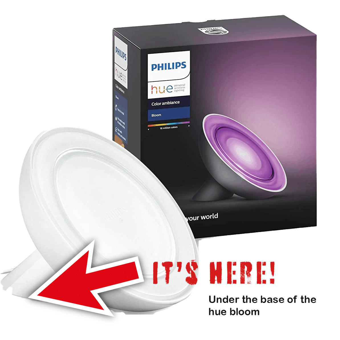 All Philips Hue Serial Number Locations! Houshia