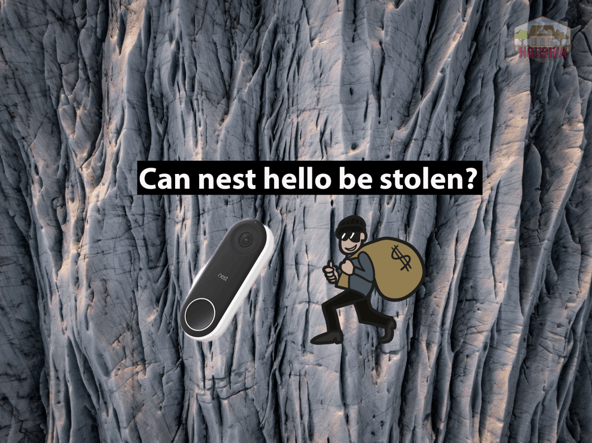 can nest hello be stolen